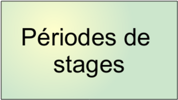 stages.png